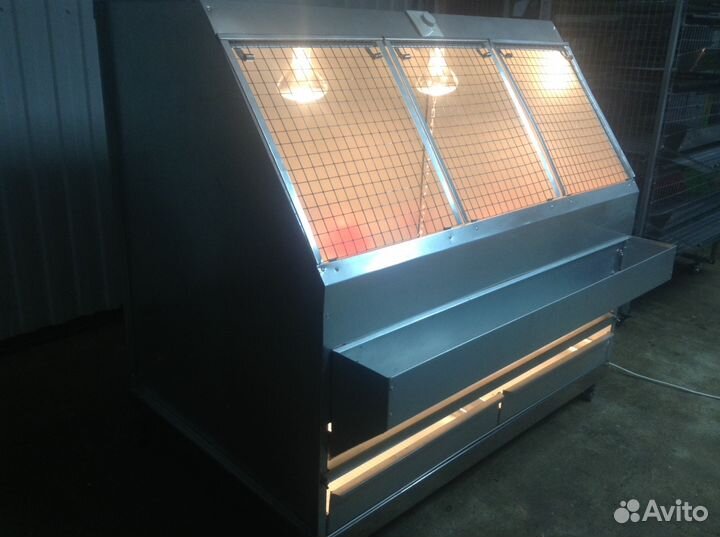 Новинка Брудер для Индюшат