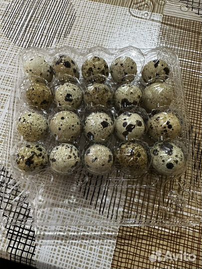 Яйцо перепелинное Диетическое