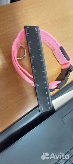 Ошейник для собак