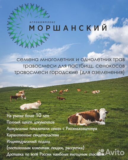 Семена трав