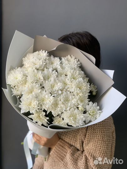 Хризантемы. Цветы Казань. Доставка Казань