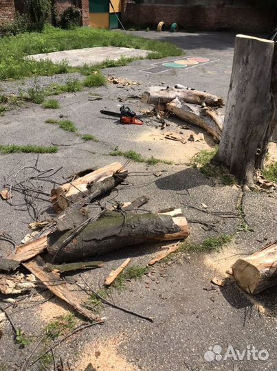 Аренда электроинструментов