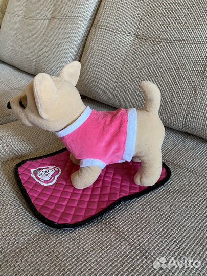 Собачка чичилав