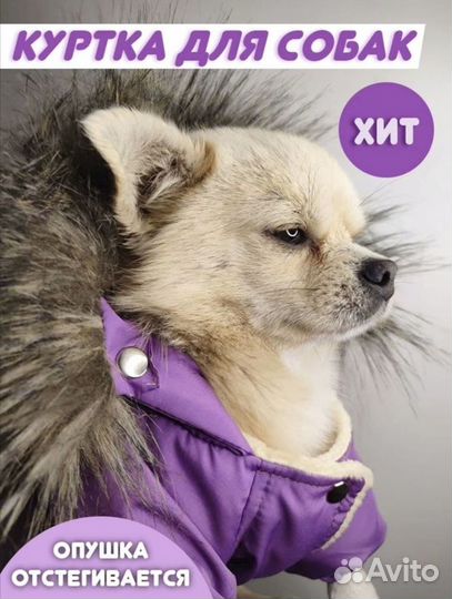 Новая парка для собак