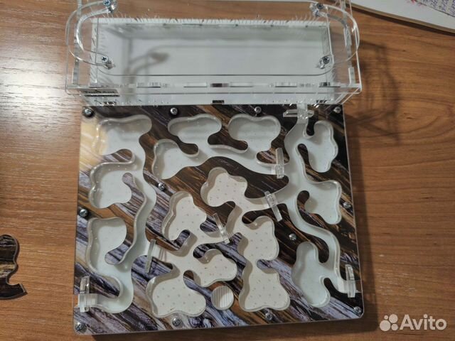 Муравьиная ферма (без муравьев)