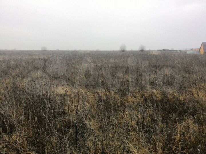 Участок 12 сот. (СНТ, ДНП)