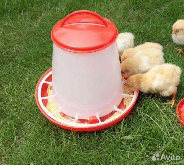 Кормушки и поилки для кур и цыплят