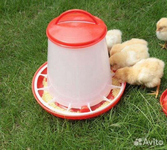 Кормушки и поилки для кур и цыплят