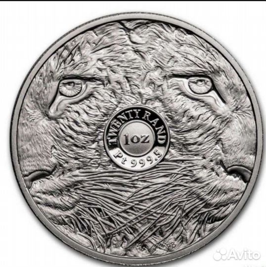 Серебряная монета леопард большая пятёрка юар