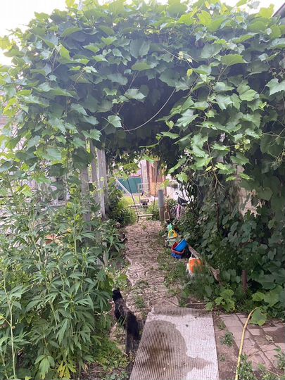 Дом 200 м² на участке 8 сот.