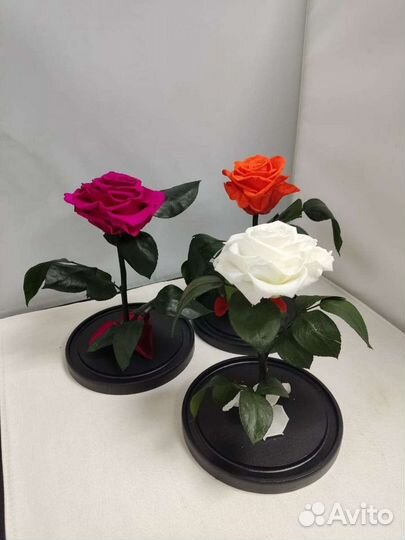 Роза в колбе оптом
