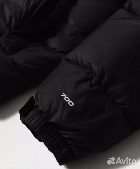 The north face 700