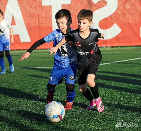 Тротуарная плитка Крупноформатная