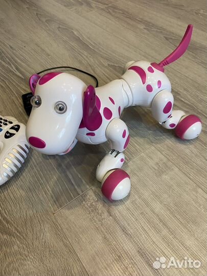 Собака Робот