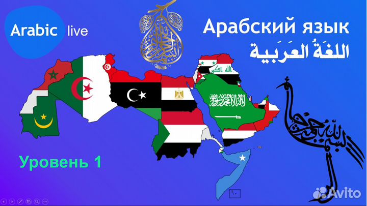 Репетитор по арабскому языку