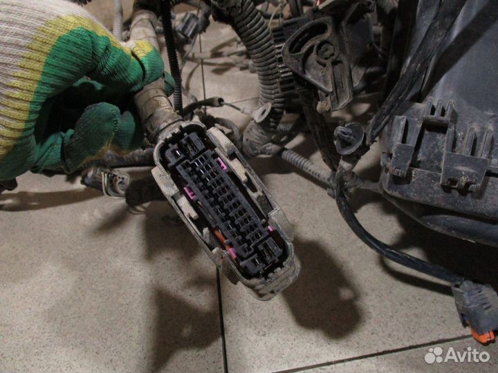 Проводка (коса) Renault Logan 2