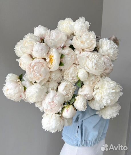 Пионы с бесплатной доставкой