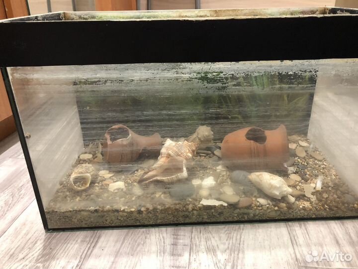Аквариум для рыб