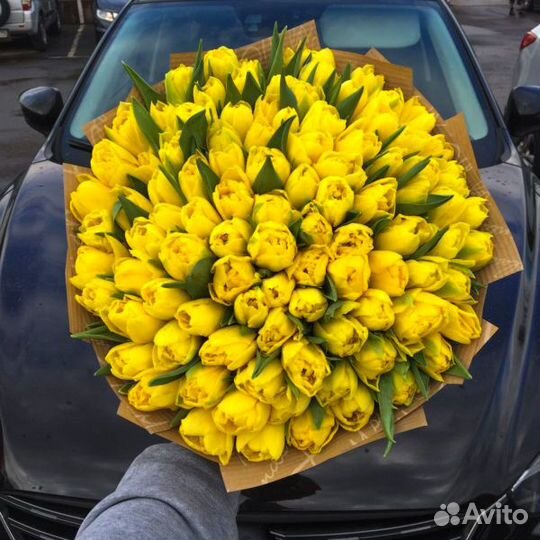 25, 51, 101 тюльпан. Букет тюльпанов