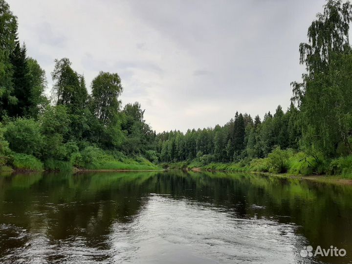 Эко туризм на севере России