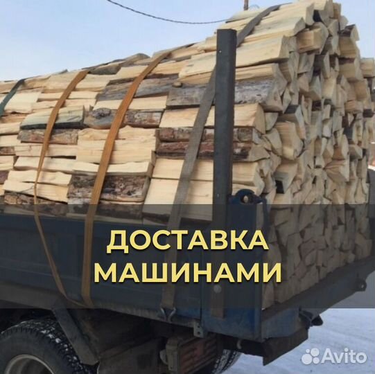 Дрова Береза / Дуб / Осина