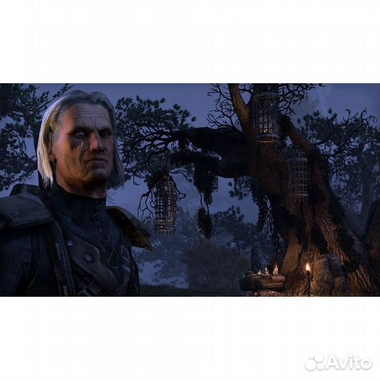 The Elder Scrolls Online Tamriel Unlimited, б/у