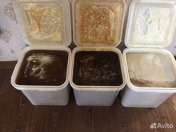 Алтайский мёд