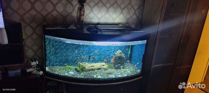 Аквариум 400л с тумбой
