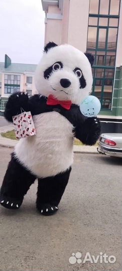 Панда Кексик