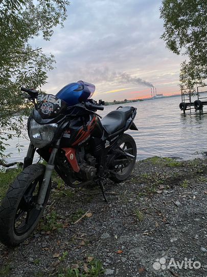 Райсер нитро 250