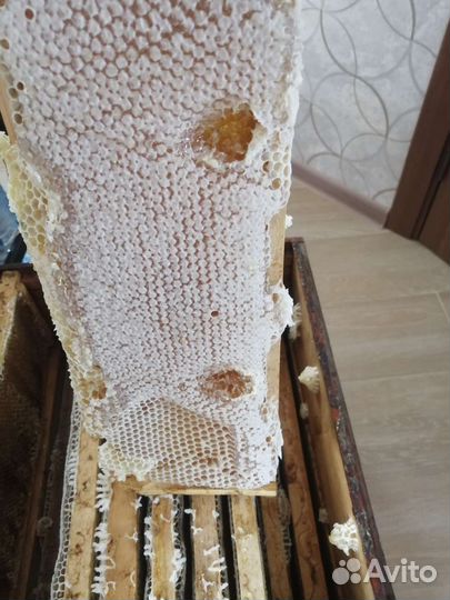 Мёд с личной пасеки