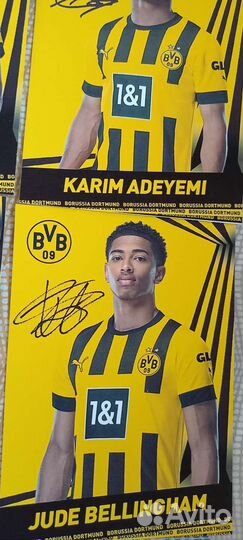 Автографы футболистов