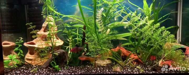 Аквариум 120 литров с тумбой