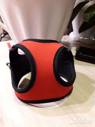 Шлейка для маленькой собаки щенка