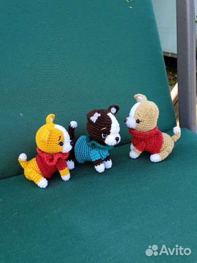 Собачка чихуа