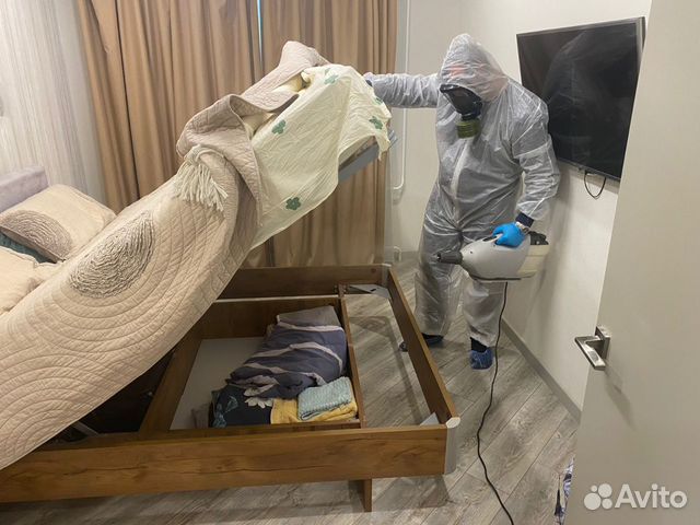 Обработка от клопов и тараканов. Дезинфекция