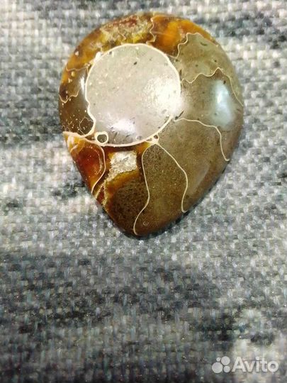 Кабошон аммонит (Мадагаскар)