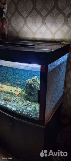 Аквариум 400л с тумбой