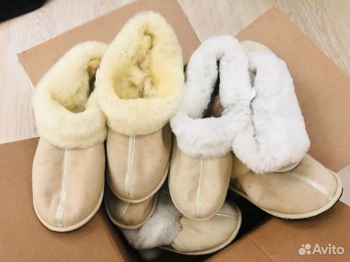 Шубенки домашние