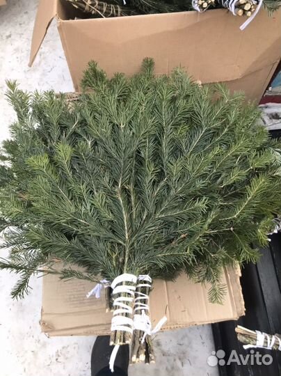 Веники для бани пихтовые