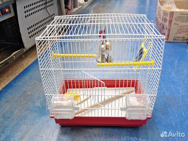 Клетка для попугая