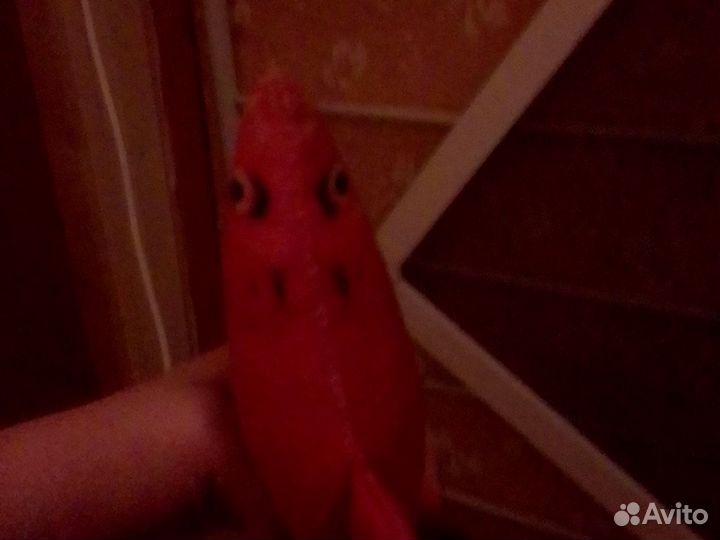 Игрушка для кота