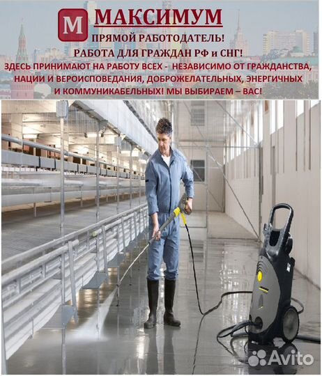 Мойщики-уборщики, Птицефабрика, Валдай
