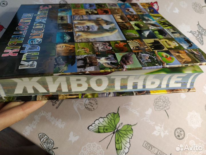 Детская энциклопедия