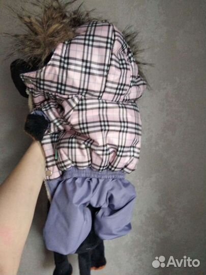 Куртка для щенка