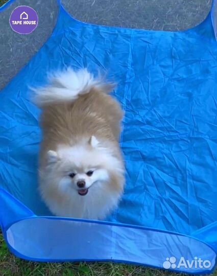 Новый вольер манеж для мелких животных