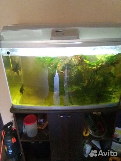 Аквариум с тумбой jebo 180л