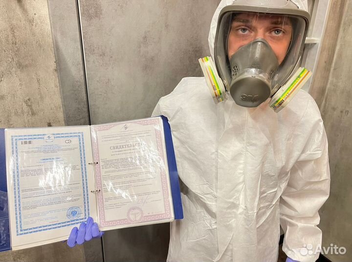 Дератизация, уничтожение грызунов