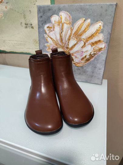 Челси barefoot Saguaro