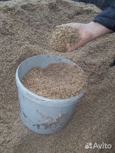 Пивная дробина